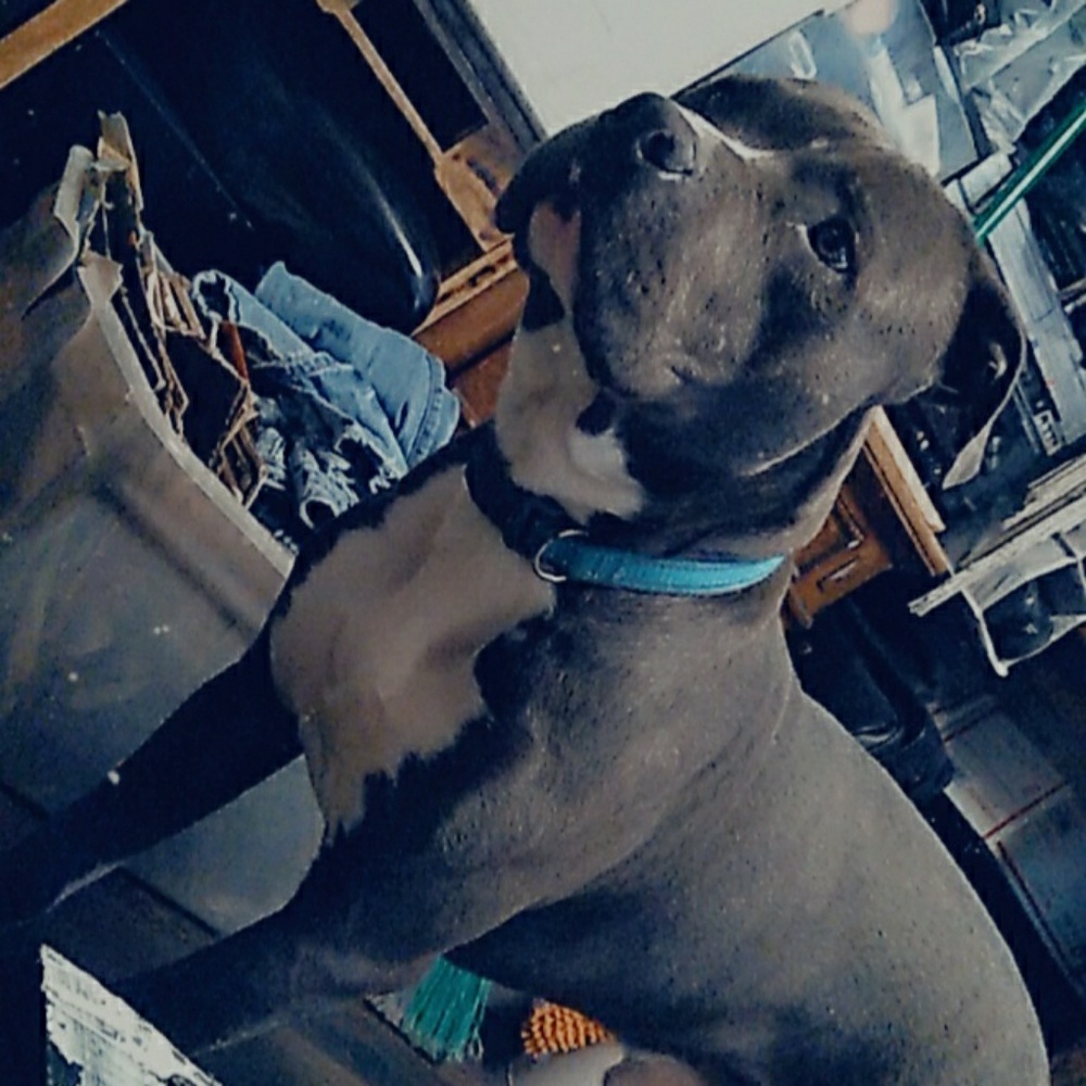 Meet your Posher, Chris